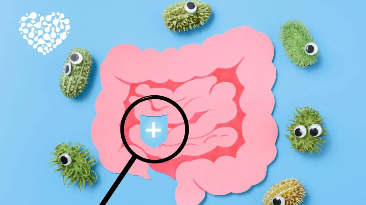 Die Rolle der Mikrobiota für die Gesundheit